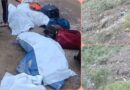 हिमाचल में दर्दनाक हादसा: चंबा की गहरी खाई में गिरी टेंपो ट्रैवलर, 6 पर्यटकों की मौत, पढ़ें और देखें हिमाचल में दर्दनाक हादसा: चंबा की गहरी खाई में गिरी टेंपो ट्रैवलर, 6 पर्यटकों की मौत, पढ़ें और देखें
