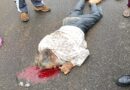 जालंधर के डॉ. बी.आर. अंबेडकर चौक में दर्दनाक हादसा: ट्रक की चपेट में आने से साइकिल सवार की मौके पर मौत