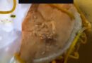 जालंधर के Hari Burger को लेकर सोशल मीडिया पर बवाल, बर्गर में ‘सूंडी’ मिलने का वीडियो वायरल